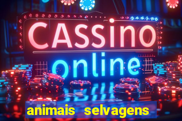 animais selvagens fotos e nomes